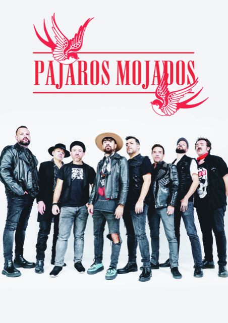 Pájaros Mojados - grup de versions